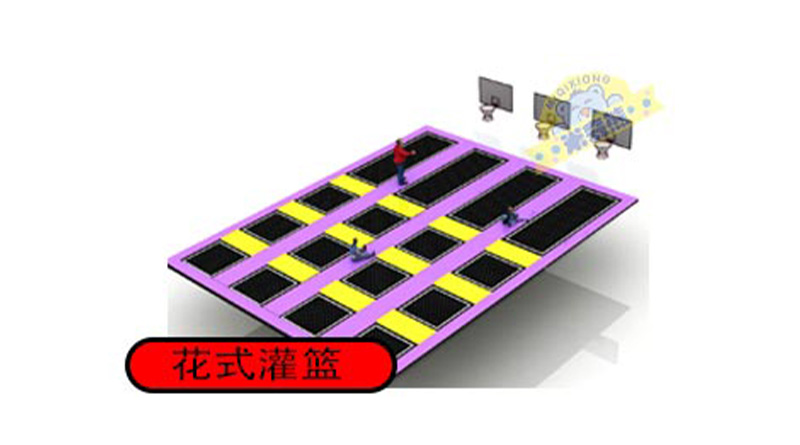 /005 Trampoline Accessories Fancy Slam Dunk