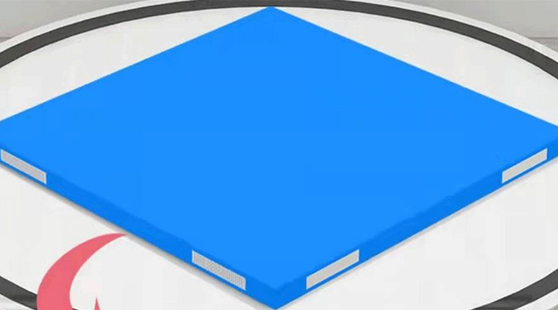 Parent-child floor mat
