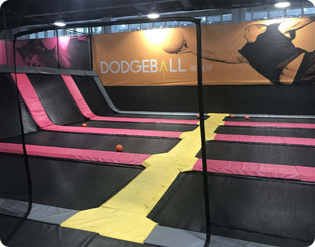 /Case study of dodge ball