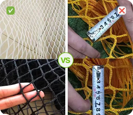 Safety Net
